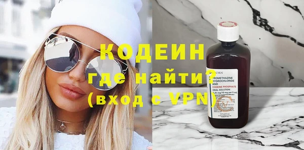 шишки Гусь-Хрустальный