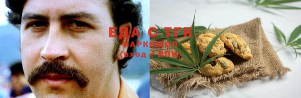 spice Гусев