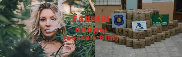 spice Гусев