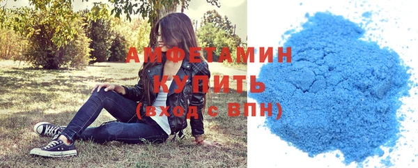 шишки Гусь-Хрустальный