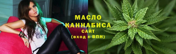 spice Гусев