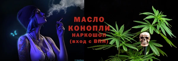 spice Гусев