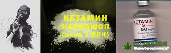 ПСИЛОЦИБИНОВЫЕ ГРИБЫ Гусиноозёрск