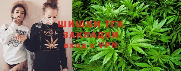 шишки Гусь-Хрустальный