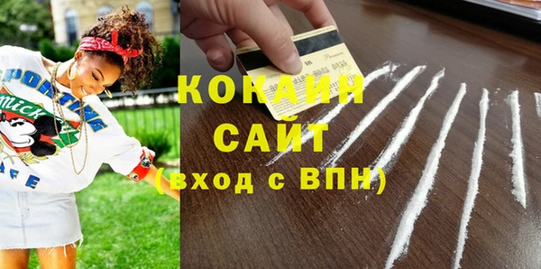 шишки Гусь-Хрустальный