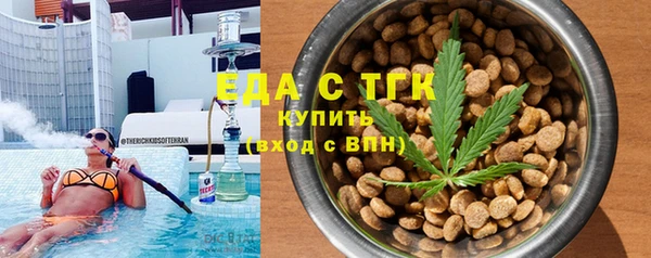 spice Гусев