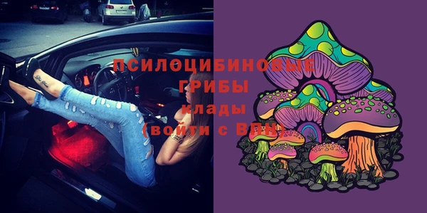 spice Гусев