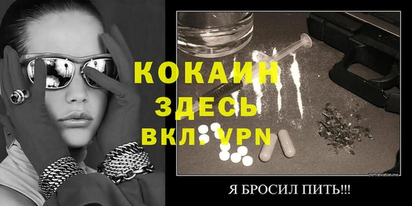 шишки Гусь-Хрустальный