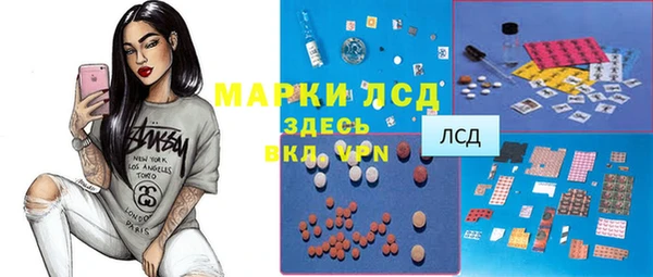 шишки Гусь-Хрустальный