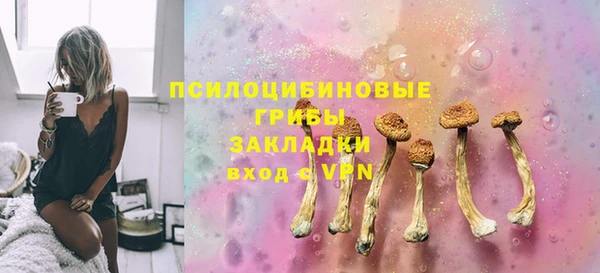 spice Гусев